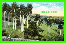 Delcampe - MATANZAS, CUBA - VIEW ENTERING VALLEY OF THE YUMURI - ANIMATED - UNDIVIDED BACK - - Kuba