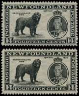 ** TERRE NEUVE 213 : 14c. Noir, Dent. 13 3/4 Non Répertorié + Normal, TB - 1857-1861