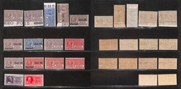 0247 REGNO - 1913/1933 - Posta Pneumatica (1/15) - Collezione Dei 15 Valori Emessi Nel Periodo - Gomma Integra (492) - Other & Unclassified