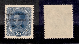 0453 OCCUPAZIONI - VENEZIA GIULIA - 1918 - 25 Heller (8 Varietà Gc) Con Soprastampa Fortemente Spostata A Sinistra (R E  - Autres & Non Classés