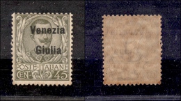 0455 OCCUPAZIONI - VENEZIA GIULIA - 1919 - 45 Cent (26eaw) Con Soprastampa Spostata A Destra - Gomma Integra (450) - Autres & Non Classés