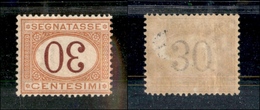 1640 REGNO - 1890/1894 - 30 Cent Segnatasse (23a) Con Cifra Capovolta - Nuovo Con Gomma (20) - Autres & Non Classés