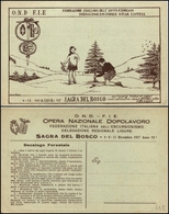 2956 CARTOLINE - COMMEMORATIVE - Federazione Italiana Dell'escursionismo Delegazione Ligure - Sagra Del Bosco 4/8/11 Dic - Autres & Non Classés