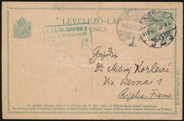 1916 - Altri & Non Classificati