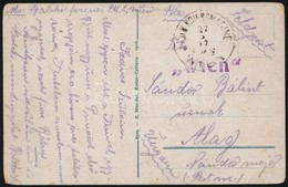1917 Tábori Posta Képeslap 'S.M.S. WIEN' - Autres & Non Classés