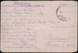 1918 Tábori Posta Képeslap 'K.u.k. Etappenbezirkskmdo Huszt' + 'TP 650' - Autres & Non Classés