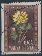 ** 1950 Virág 60f Látványos Fogazási Rendellenességgel - Andere & Zonder Classificatie