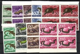 ** 1962 Kétéltűek és Hüllők Sor ívszéli Négyestömbökben Mi 1007-1015 - Altri & Non Classificati