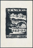 Andruskó Károly (1915-2008): Ex Libris Galambos Ferenc. Linó, Papír, Jelzett, 13x9 Cm - Autres & Non Classés