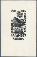 Jelzés Nélkül: 1978 Lugano Ex Libris. Linó, Papír, 11x7 Cm - Autres & Non Classés