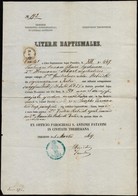 1869 Trieszt, Keresztelési Anyakönyvi Kivonat, Latin Nyelven, Okmánybélyeggel - Unclassified
