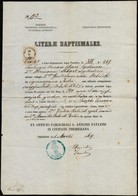 1869 Trieszt, Keresztelési Anyakönyvi Kivonat, Latin Nyelven, Okmánybélyeggel - Zonder Classificatie