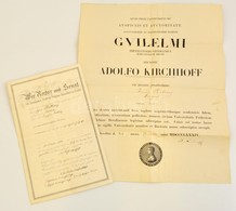 1889 Jogi Oklevél és Bizonyítvány Magyar Személy Részére. 40x60 Cm - Unclassified
