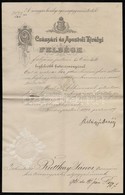 1892 Zsolnai Albíróvá Történő Kinevezés Szilágyi Dezső (1840-1901) Igazságügy-miniszter Aláírásával, Szárazpecséttel - Unclassified