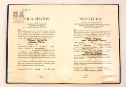 1977 Pszichológusi Diploma Műbőr Kötésben - Non Classés