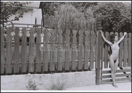 Cca 1970 Akt Kompozíciók, Szolidan Erotikus Fényképek, 6 Db Mai Nagyítás, 10x15 Cm és 25x18 Cm Között / 6 Erotic Photos - Autres & Non Classés