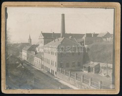 Cca 1900 Pécs, Kesztyűgyár, Keményhátú Fotó, 10×13 Cm - Autres & Non Classés