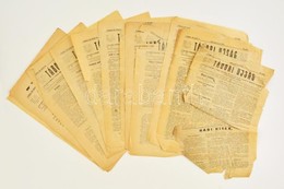 1915 Przemysl, Tábori Újság, A 23. Honvéd Gyalogezred által Przemyśl Első és Második Ostroma Alatt Naponta-kétnaponta Me - Other & Unclassified