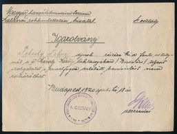 1920 Bp., A Magyar Honvédelmi Minisztérium Katonai Rokkantellátási Hivatala által Kiállított Igazolvány - Autres & Non Classés