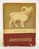 Schandl József: Juhtenyésztés. Függelék: A Kecske Tenyésztése. Bp.,1960, Mezőgazdasági Kiadó. Harmadik, átdolgozott Kiad - Non Classés