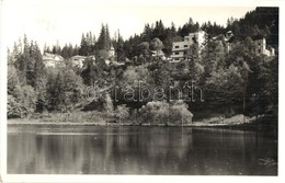 4 Db RÉGI Erdélyi Városképes Lap;Nagyvárad, Tusnádfürdő, Hargita-fürdő, Szent Anna Tó / 4 Pre-1945 Transylvanian Town-vi - Unclassified