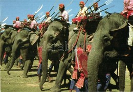 6 Db MODERN Tengerentúli érdekesebb Képeslap, Elefántok, Tevék, Piramisok / 6 Modern Interesting Postcards; Elephants, E - Zonder Classificatie