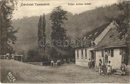 ** T2/T3 Tomest, Tamásd, Tomesti; Felter Arthur üzlete, Utcakép. Adler Arthur Fényirdája / Shop, Street View (EK) - Non Classés