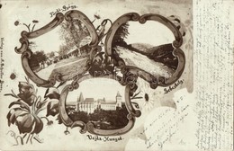 T2 1903 Vajdahunyad, Hunedoara; Vár, Sebeshely, Fürdő-Gyógy (Feredőgyógy) / Castle, Geoagiu-Bai, Sebesei. A. Schuller's  - Non Classés