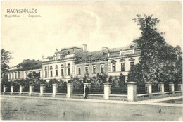 ** T1 Nagyszőlős, Vynohradiv, Sevlus (Sevljus); Megyeháza / Zupanat / County Hall - Unclassified