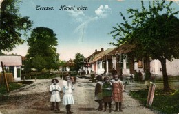 * T3 Taracköz, Teresva; Hlavni Ulice / Fő Utca / Main Street, Children (EB) - Non Classés