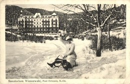 T2/T3 Feichtenbach, Sanatoriumm Wienerwald / Winter Sport, Sledding Lady  (EK) - Non Classés