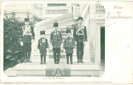 T3 Constantinople, Istanbul; Le Fils Du Sultan / The Sultan's Sons (kis Szakadás / Small Tear) - Unclassified