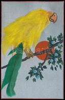 ** T2 Parrot Decorated With Real Feathers - Unclassified