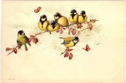 ** T1/T2 Cinegék / Tit Birds. Litho - Unclassified