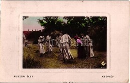 T2 Pusztai élet, Cséplés / Hungarian Folklore, Threshing - Zonder Classificatie