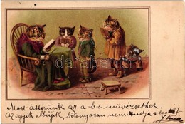 T2 1899 Cats Reading Lesson With Old Lady Cat. Litho - Non Classificati