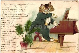 T2/T3 1899 Cat Pianist Playing The Piano. Theo Stroefer's Kunstverlag. Aquarell-Postkarte Serie V. No. 5276. Litho (EK) - Non Classés