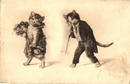 T2/T3 Cat Lady And Cat Gentleman (EK) - Non Classés