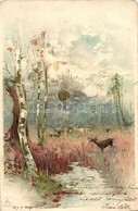 T4 1899 Deer In The Marsh, Winkler & Schorn Sonnenschein-Postkarte Serie VI., Golden Decoration Litho (b) - Zonder Classificatie