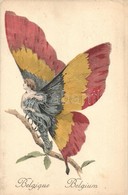 * T2/T3 Belgique / Belgian Flag On The Wings Of A Butterfly Lady. Editions 'Aux Allies' Paris No. 10. So. Stp (EK) - Unclassified