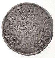 1530K-B Denár Ag 'I. Ferdinánd' (0,48g) T:2
Hungary 1530K-B Denar Ag 'Ferdinand I' (0,48g) C:XF
Huszár: 935., Unger II.: - Non Classificati