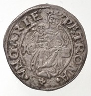 1535K-B Denár Ag 'I. Ferdinánd' (0,63g) T:1-
1535K-B Denar Ag 'Ferdinand I' (0,63g) C:AU
Huszár: 935., Unger II.: 745.a - Non Classés