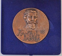 Király Vilmos (1953- ) 1987. 'Xántusz János 1825-1894 / Idegenforgalmi Középiskola és Szálloda - Hotel Római' Br Plakett - Non Classés