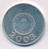 2008. '2003 / 2008' Ezüstözött Fém Emlékérem, Mindkét Oldalon A 10Ft-os érme Hátlapjával (22mm) T:1- - Non Classés