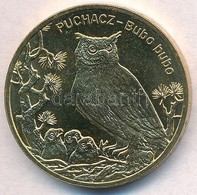 Lengyelország 2005. 2Zl Sárgaréz 'Bagoly - Bubo Bubo' T:1
Poland 2005. 2 Zlotych Brass 'Owl - Bubo Bubo' C:UNC Krause Y# - Non Classés