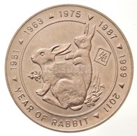 Szomáliföld 1999. 5$ Acél 'A Nyúl éve' T:2
Somaliland 1999. 5 Dollars Stainless Steel 'Year Of The Rabbit' C:XF
Krause X - Non Classés