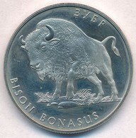 Ukrajna 2001. 2H Cu-Ni-Zn 'Európai Bölény' T:1 
Ukraine 2001. 2 Hryvni 'European Bison' C:UNC 
Krause KM#167 - Non Classés