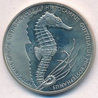 Ukrajna 2003. 2H Cu-Ni-Zn 'Pettyes Csikóhal' T:1-
Ukraine 2003. 2 Hryvni Cu-Ni-Zn 'Long-snouted Seahorse' C:AU
Krause KM - Non Classés