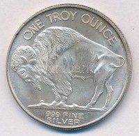 Amerikai Egyesült Államok DN 'Buffalo' Jelzetlen Befektetési Ag érme (31,23g/0.999/39mm) T:2 USA ND 'Buffalo' One Troy O - Non Classés