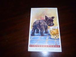TB état Non Voyagé - Valter FL E  - Valentine's Post Card 2861  Chien Dog  Scottish ? - Valter, Fl. E.